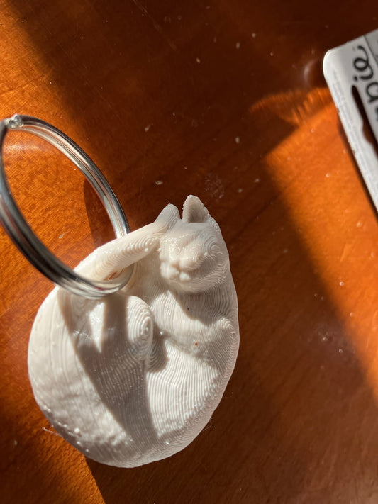 ZenCat mini keychain - IN PERSON ONLY